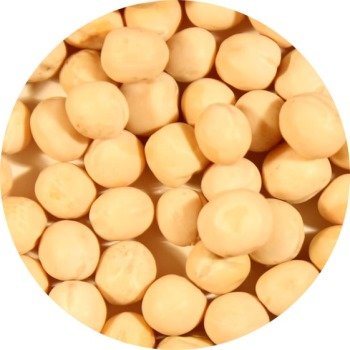 Yellow Peas
